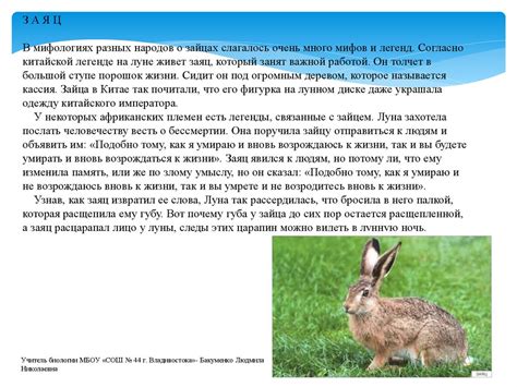 Мифы и легенды о городе Энск