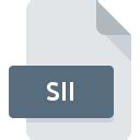 Модификация файла SII