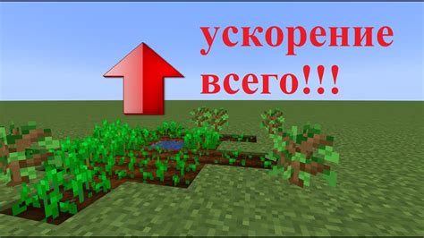 Мод "Компот на скорость" - ускорение процесса зреления фруктов