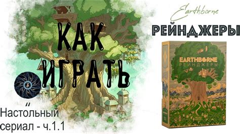 Начало игры: как правильно начать приключение