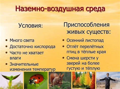 Необходимые условия