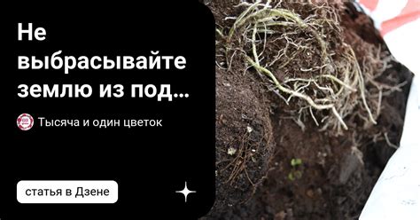 Не выбрасывайте предметы на землю