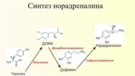 Низкий уровень адреналина