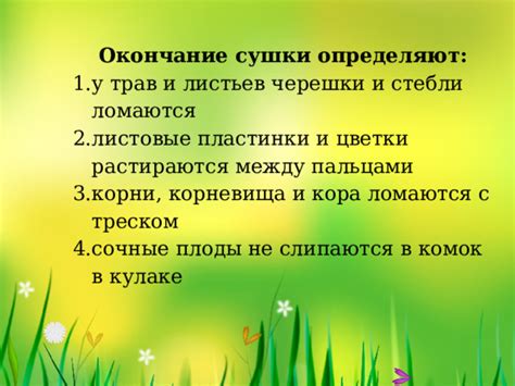 Окончание сушки