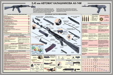 Основные характеристики воина