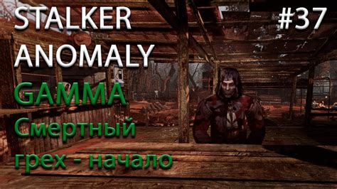 Особенности игры "Сталкер Аномалия: смертный грех"