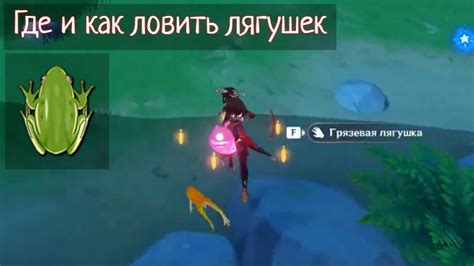 Особенности поиска лягушек в игре Геншин Импакт
