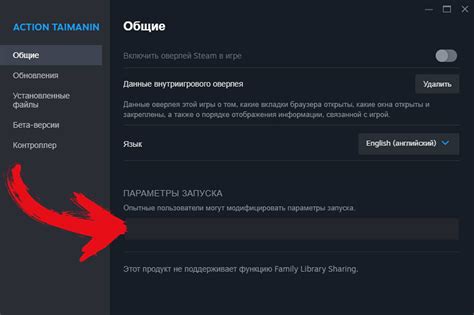 Откройте параметры запуска игры