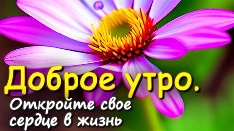 Откройте режим жизни
