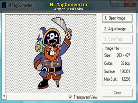Откройте Hl TagConverter и выберите "common" в качестве игры
