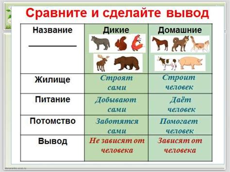 Отличия диких коров от домашних
