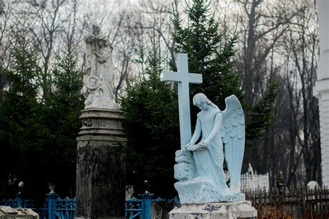 Первый способ: Перелёт птицей грифоном