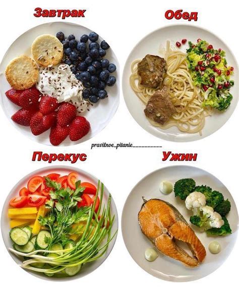 Питание для здоровых ушей и хвоста