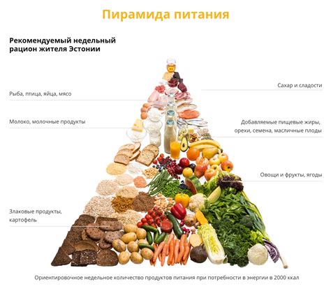 Питание и восстановление здоровья: как правильно питаться и лечиться в Doz