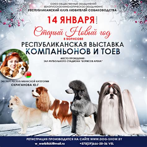 Повышение дружелюбия компаньонов