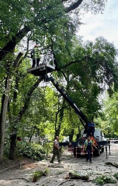 Подготовка к удалению дерева