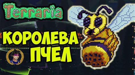 Поиск пчел в мире террарии