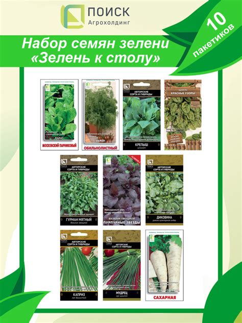 Поиск святых семян