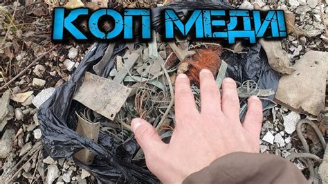 Поиск скелетов на свалках