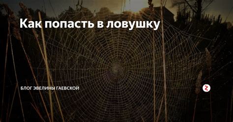 Попасть в ловушку