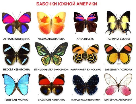 Правильный выбор времени и места
