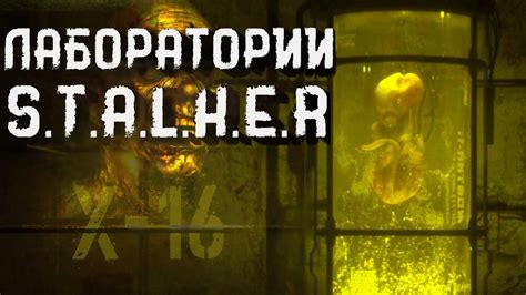 Преимущества и недостатки поисков военной лаборатории в Сталкере ОП 2