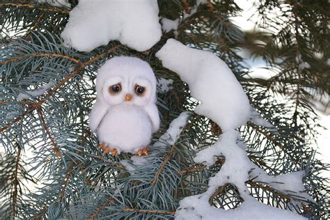 Применение снежных сов в игре