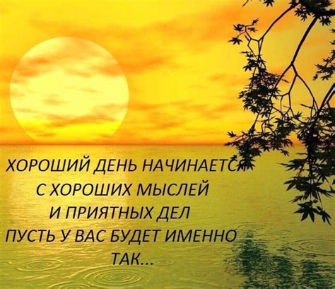Примеры мудрых высказываний Региса