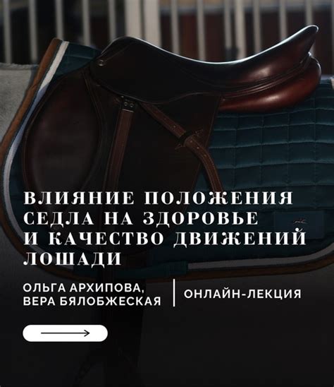 Проверка положения лошади