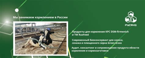 Продукты для обычного кормления