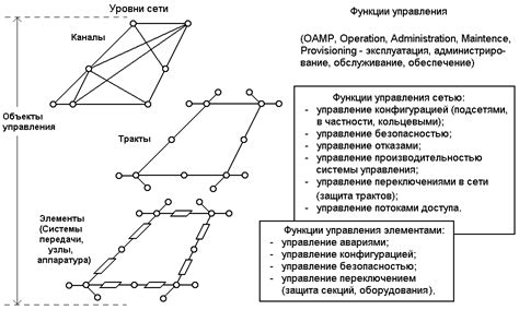 Развитие метро и управление транспортной сетью