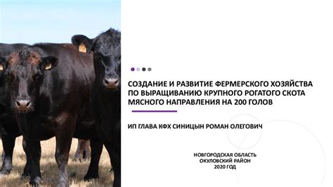 Развитие фермерского хозяйства в Симс 3