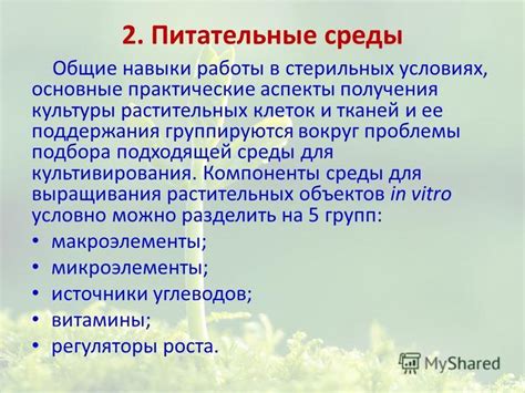 Раздел 2: Создание подходящей среды для выращивания