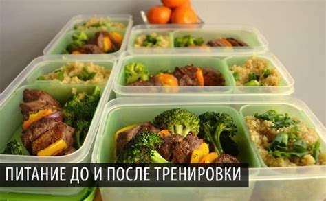 Раздел 2. Тренировки и питание