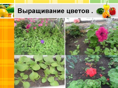 Раздел 3. Выращивание рунических цветов
