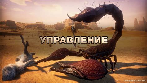 Раздел 7: Советы по использованию паутины в Conan Exiles