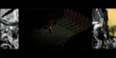 Размещение колючей проволоки в игре Project Zomboid