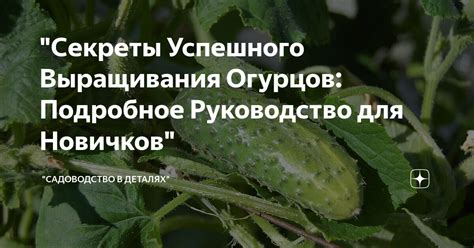 Секреты успешного дюпа в YBA