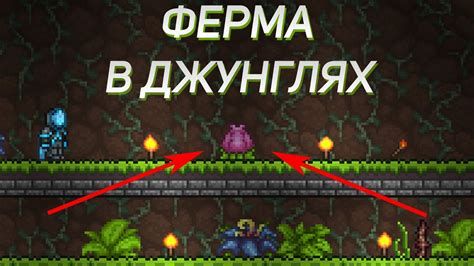 Секреты Terraria: как найти бутон плантеры
