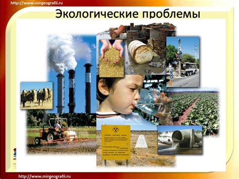 Секрет 10: Как бороться с экологическими проблемами своего города