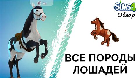 Скрещивание лошадей в Симс 3: подробное руководство