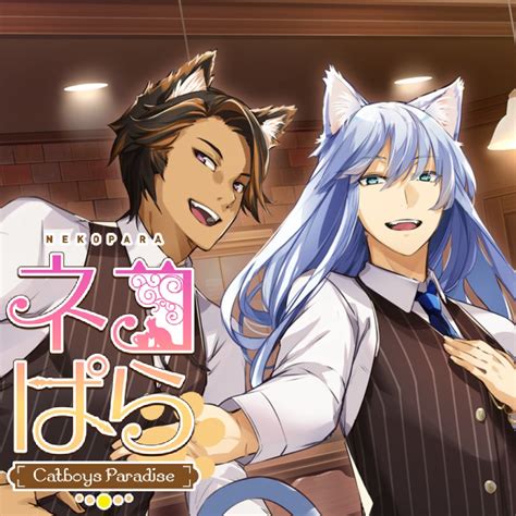 Советы и рекомендации для игроков игры "Nekopara cat boys paradise"