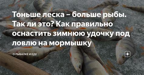 Советы и рекомендации по сбору свитка обмена рыбой пустоты