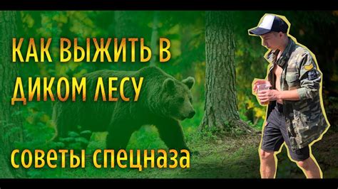 Советы по выживанию в дикой природе