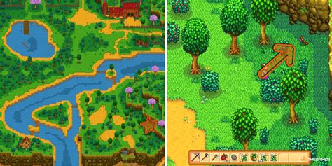 Советы по использованию топора Робина в Stardew Valley