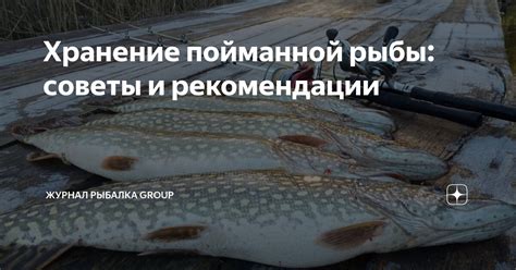Советы по сохранению пойманной тигровой рыбы