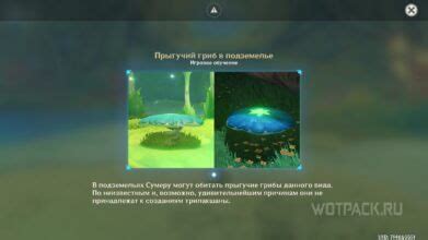 Создание грибных платформ