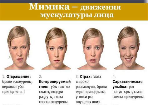 Создание лица: особенности и детали