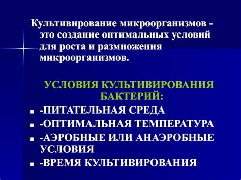 Создание оптимальных условий для роста