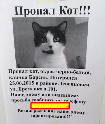 Создать новое объявление о пропаже питомца